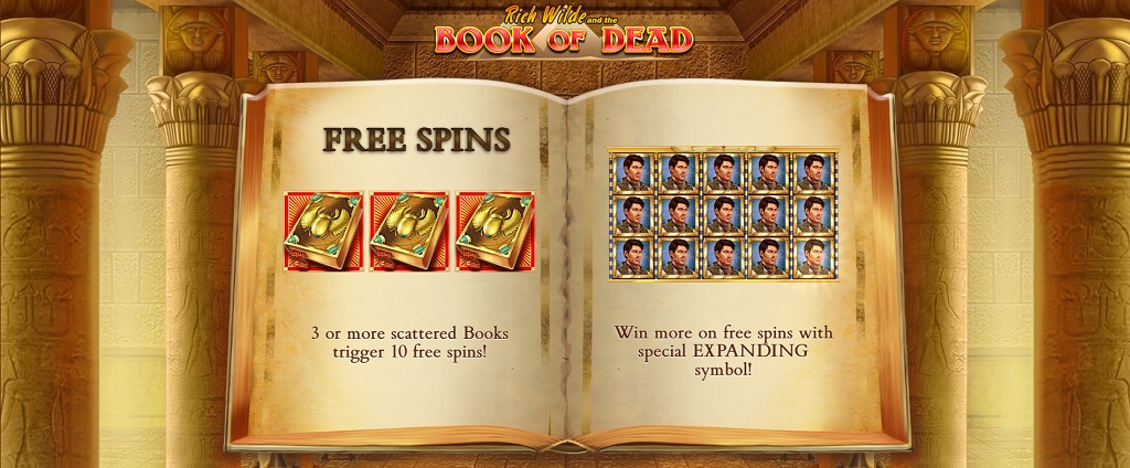 leovegas book of dead spins