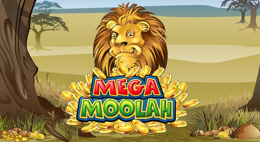 Mega Moolah slot - jackpot