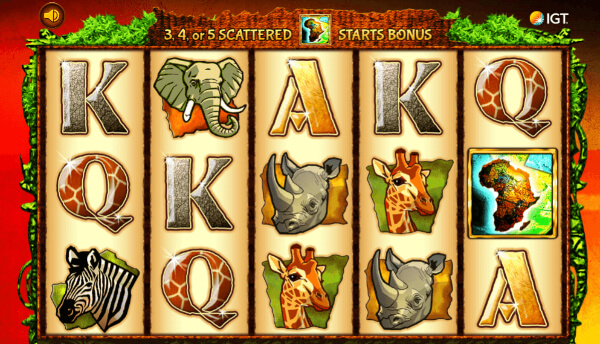 Wild Live slot - symbols