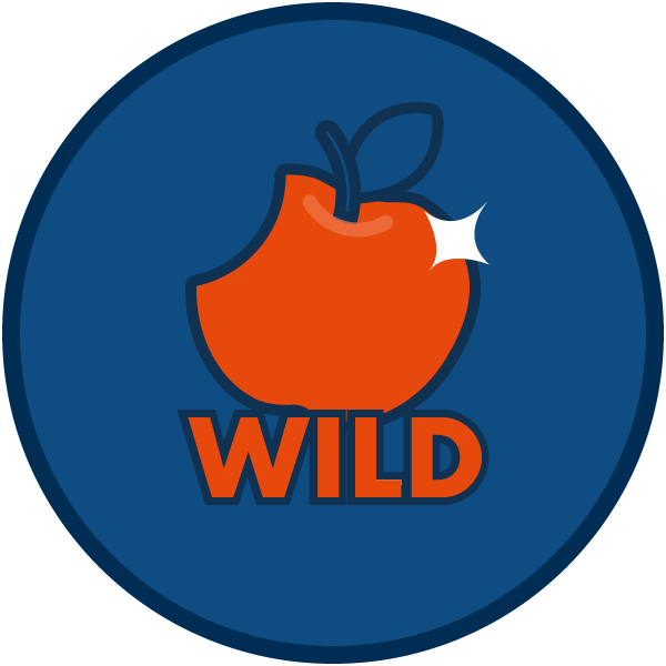 Wild Symbol - slots - icon