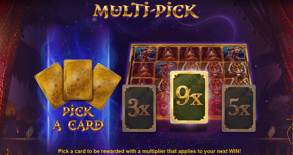 10001-multi-pick