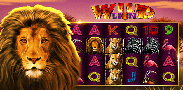 Jet Bingo Exclusive Games