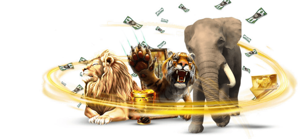 Tiger, a lion and an Elephant - games at Skol casino