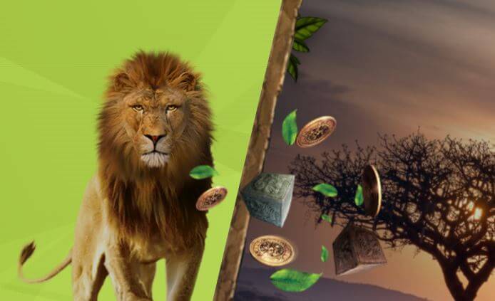 Lion - Casimba Casino