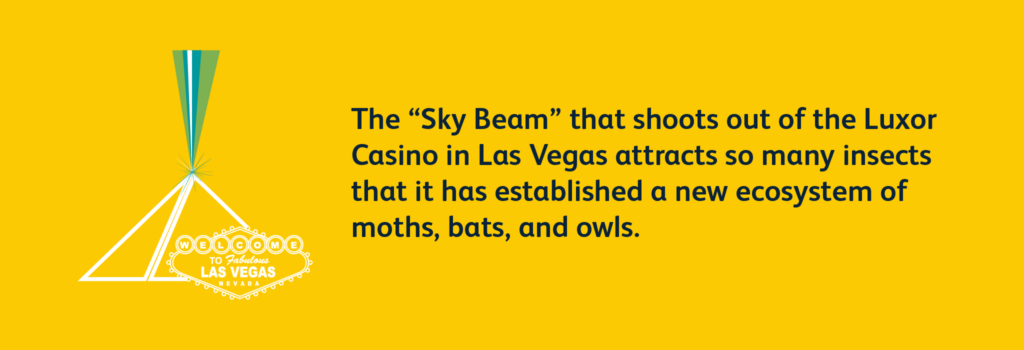 Sky Beam at Luxor Casino in Las Vegas