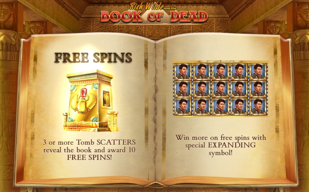 Book of dead slot NZ